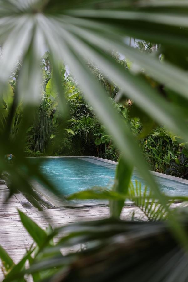Surfing Temple Hotel Boutique 卢纳将军城 外观 照片
